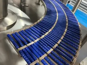 Roller Conveyor